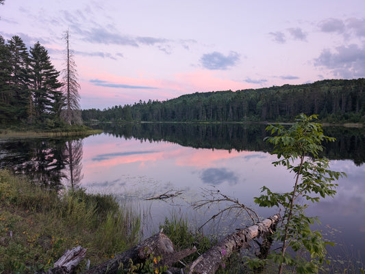 View of Lower Carcajou Lake from Campsite