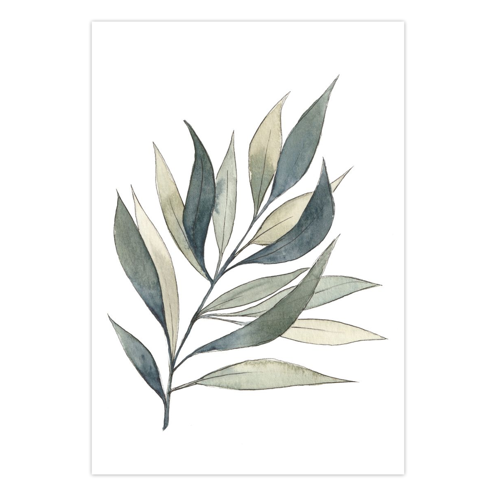 Eucalyptus Leaves Greeting Cards